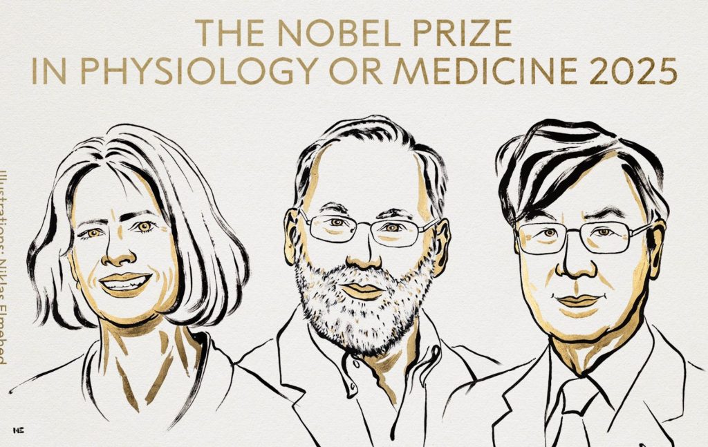 Nobel de Medicina 2025: descubrimiento sobre células T