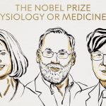 Nobel de Medicina 2025: descubrimiento sobre células T