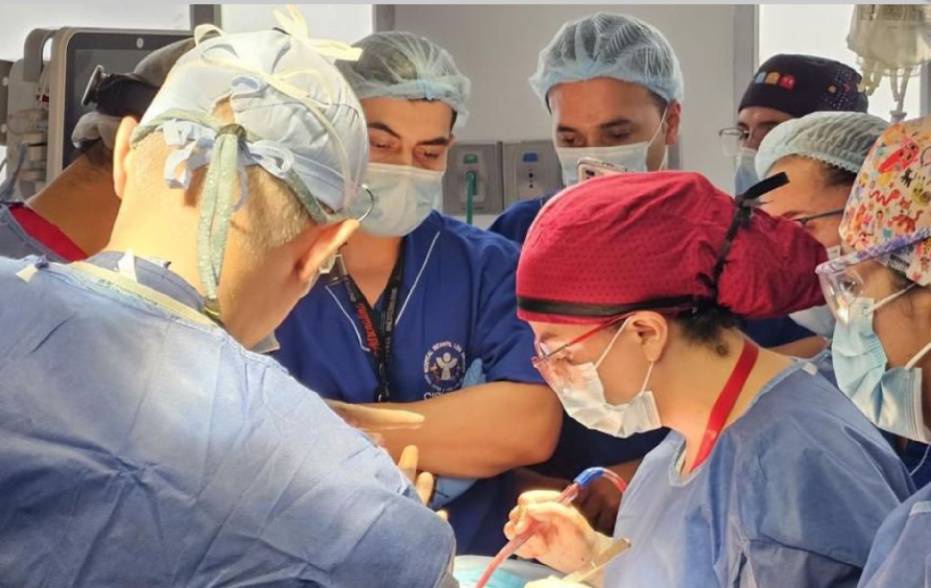 Trasplante de órganos: cómo evitar el rechazo con medicación