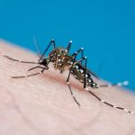 Dengue en Colombia: cifras de alerta tras primer semestre de 2026 / Getty Images