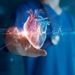 Imagen cardiovascular: innovación en cómo estudiar al corazón / Getty Images